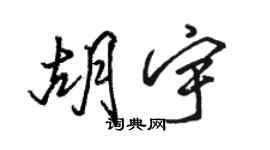 駱恆光胡宇行書個性簽名怎么寫