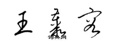 梁錦英王叢容草書個性簽名怎么寫