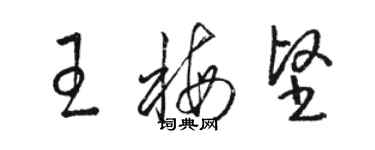 駱恆光王梅堅草書個性簽名怎么寫
