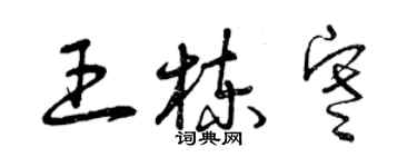 曾慶福王棟寒草書個性簽名怎么寫