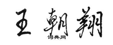 駱恆光王朝翔行書個性簽名怎么寫