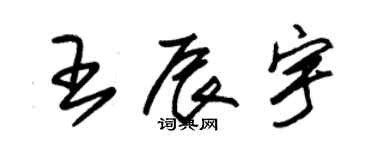 朱錫榮王辰宇草書個性簽名怎么寫