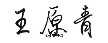 駱恆光王原青行書個性簽名怎么寫