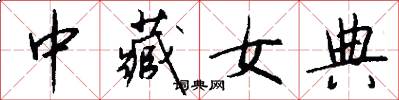 中藏女典怎么寫好看