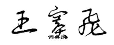 曾慶福王賽飛草書個性簽名怎么寫