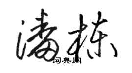 駱恆光潘棟草書個性簽名怎么寫