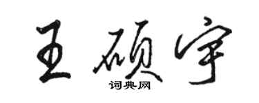 駱恆光王碩宇行書個性簽名怎么寫