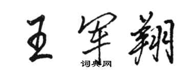 駱恆光王軍翔行書個性簽名怎么寫