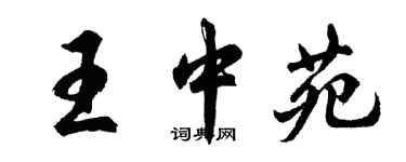 胡問遂王中苑行書個性簽名怎么寫