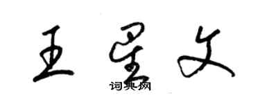 梁錦英王星文草書個性簽名怎么寫