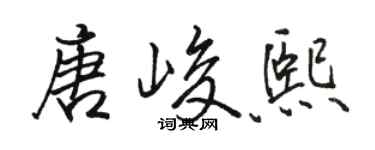 駱恆光唐峻熙行書個性簽名怎么寫