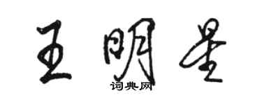駱恆光王明星行書個性簽名怎么寫