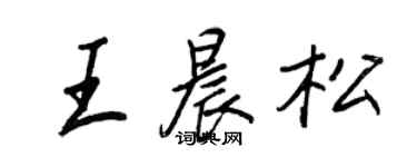 王正良王晨松行書個性簽名怎么寫