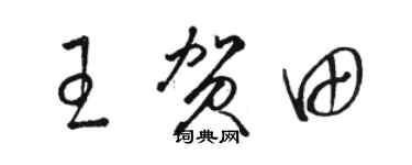 駱恆光王賀田草書個性簽名怎么寫