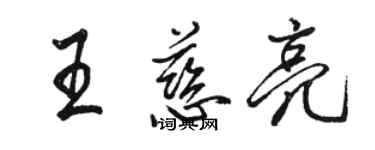 駱恆光王慈亮行書個性簽名怎么寫