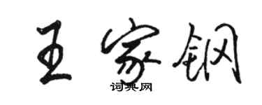 駱恆光王家鋼行書個性簽名怎么寫