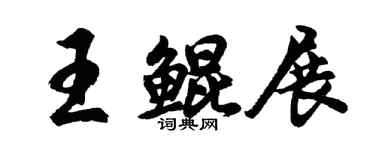 胡問遂王鯤展行書個性簽名怎么寫