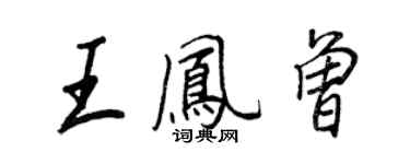 王正良王鳳曾行書個性簽名怎么寫