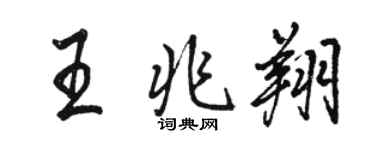 駱恆光王兆翔行書個性簽名怎么寫