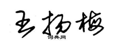 朱錫榮王揚梅草書個性簽名怎么寫