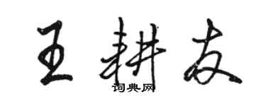 駱恆光王耕友行書個性簽名怎么寫
