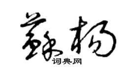 曾慶福蘇楊草書個性簽名怎么寫