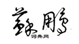 曾慶福蘇鵬草書個性簽名怎么寫