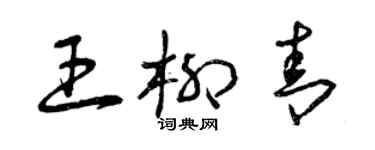 曾慶福王柳青草書個性簽名怎么寫