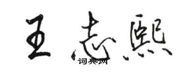 駱恆光王志熙行書個性簽名怎么寫