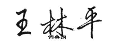 駱恆光王林平行書個性簽名怎么寫