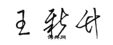 駱恆光王新竹草書個性簽名怎么寫