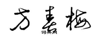 曾慶福方春梅草書個性簽名怎么寫