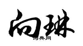 胡問遂向琳行書個性簽名怎么寫