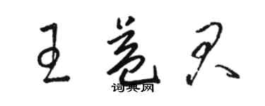 駱恆光王益君草書個性簽名怎么寫