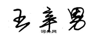 朱錫榮王辛男草書個性簽名怎么寫