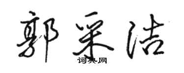 駱恆光郭采潔行書個性簽名怎么寫