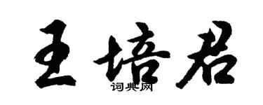 胡問遂王培君行書個性簽名怎么寫