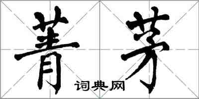 翁闓運菁茅楷書怎么寫