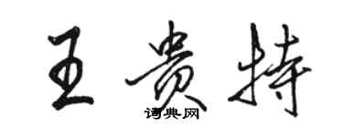 駱恆光王貴特行書個性簽名怎么寫