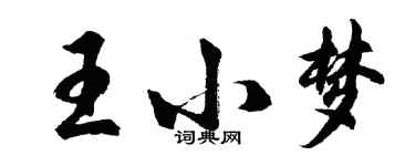 胡問遂王小夢行書個性簽名怎么寫