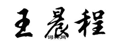 胡問遂王晨程行書個性簽名怎么寫