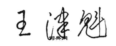 駱恆光王津魁草書個性簽名怎么寫