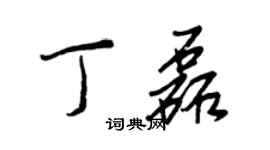 王正良丁磊行書個性簽名怎么寫
