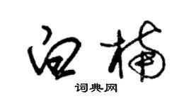 朱錫榮白楠草書個性簽名怎么寫