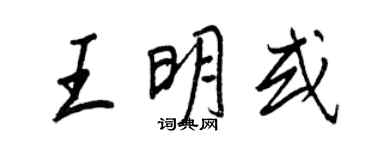 王正良王明或行書個性簽名怎么寫