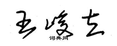 朱錫榮王峻立草書個性簽名怎么寫