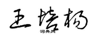 曾慶福王培楊草書個性簽名怎么寫