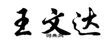 胡問遂王文達行書個性簽名怎么寫