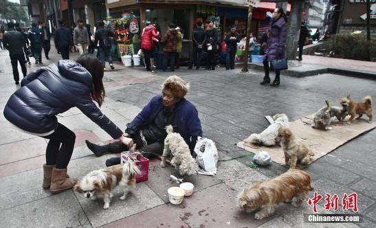 七旬老人組建“流浪狗要飯糰”呼籲保護流浪狗