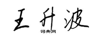 王正良王升波行書個性簽名怎么寫